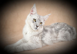 35E7530C-18D1-4C49-8557-4054D6471101_edi