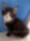 IMG_2446.jpeg