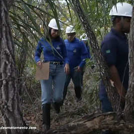 Pela segunda vez, países da UE adiam em 1 ano lei antidesmatamento e flexibilizam regras