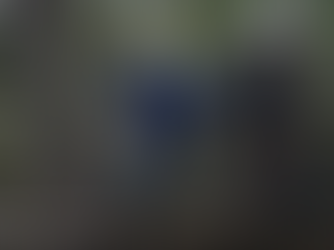 Pela segunda vez, países da UE adiam em 1 ano lei antidesmatamento e flexibilizam regras