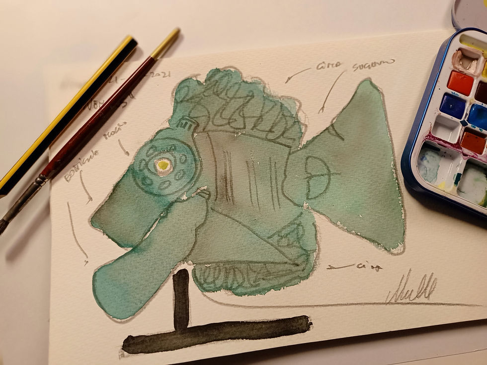 Miniatura: Pesce lampada "Nembus".