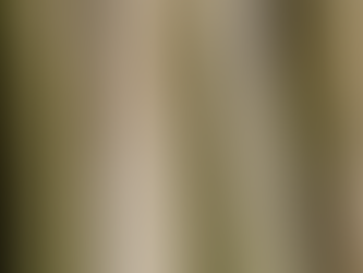 CUIR : UN COLORANT SPÉCIAL A BASE D'ALGUES