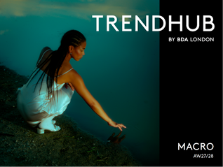 TrendHub Macro Trends : prospective consommateurs.
