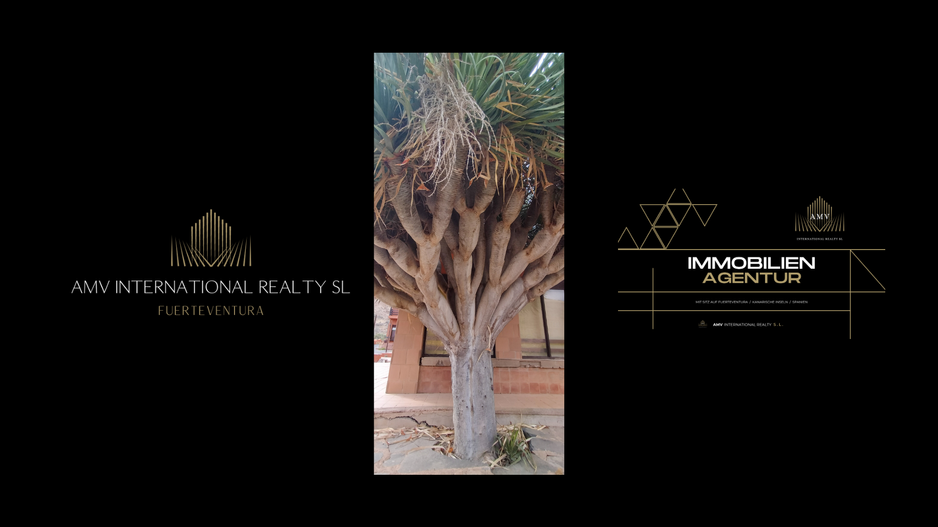 Betancuria 1 AMV INTERNATIONAL REALTY SL Fuerteventura