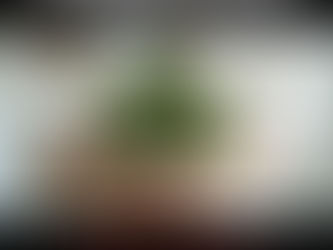 Immagine simbolica della riqualificazione energetica a Fuerteventura 2026: modellino di casa verde tenuto tra le mani. Focus su classi energetiche, investimenti e impatto sul mercato. Consulenza di Oliver Schlolaut.