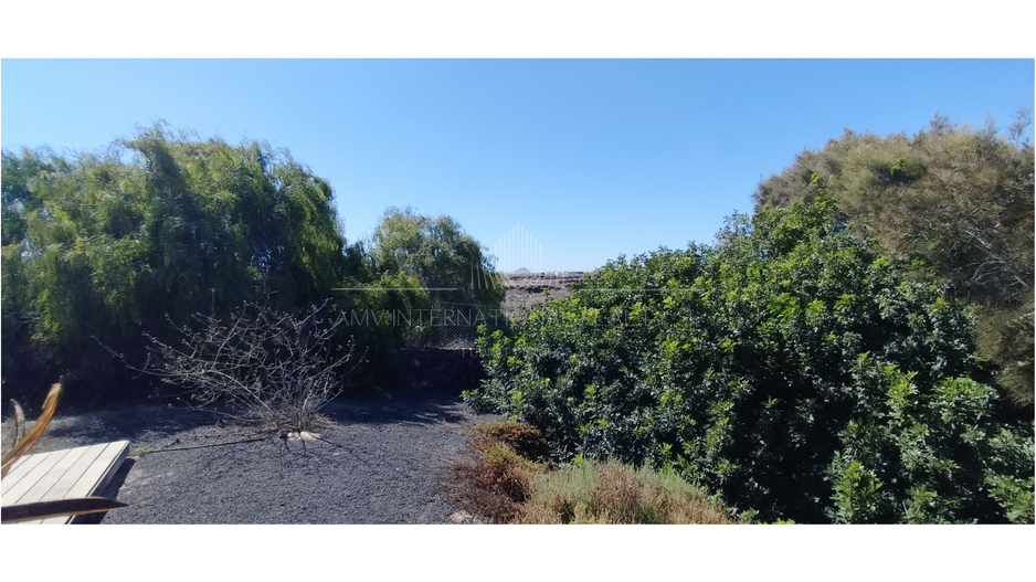 Lajares 9 AMV INTERNATIONAL REALTY SL Fuerteventura