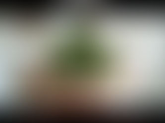 Imagen simbólica de rehabilitación energética en Fuerteventura 2026: maqueta de casa verde sostenida en manos. Enfoque en clases energéticas, inversión necesaria y efectos de mercado. Asesoramiento por Oliver Schlolaut.