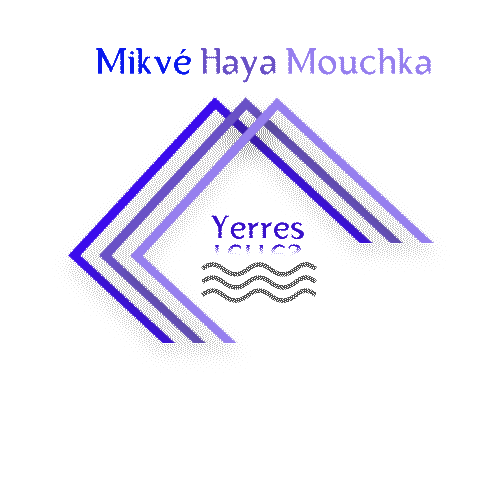 logo-transparent.gif