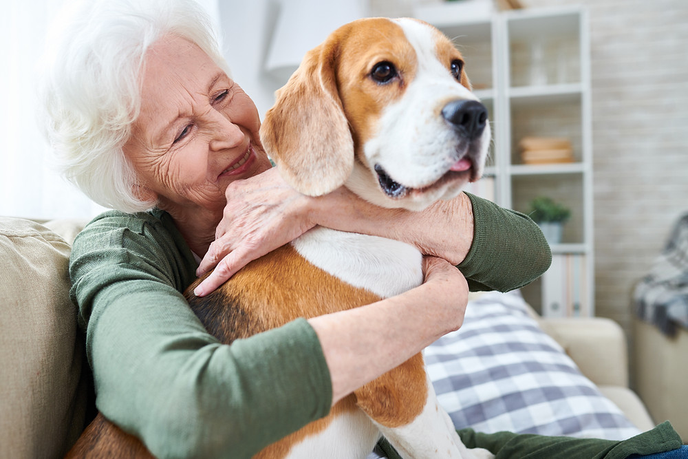aged woman with dog aged care transition