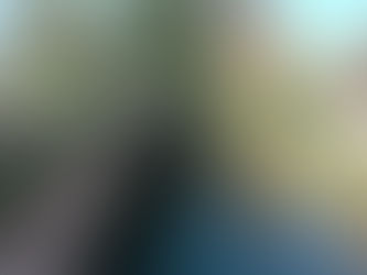 Des Vosges aux Pyrénées (1):