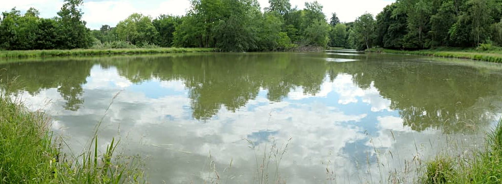 étang de Vallière