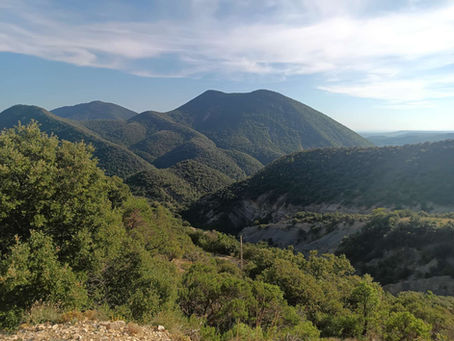 Du Jura à la Méditerranée (13):