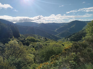Des Vosges aux Pyrénées (24):