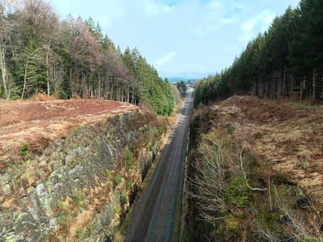 Des Vosges aux Pyrénées (9):