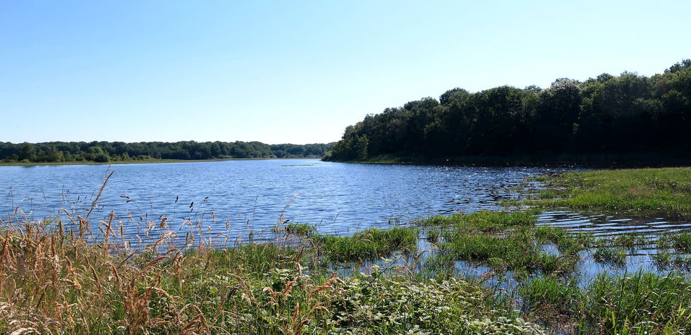 étang d'orléans