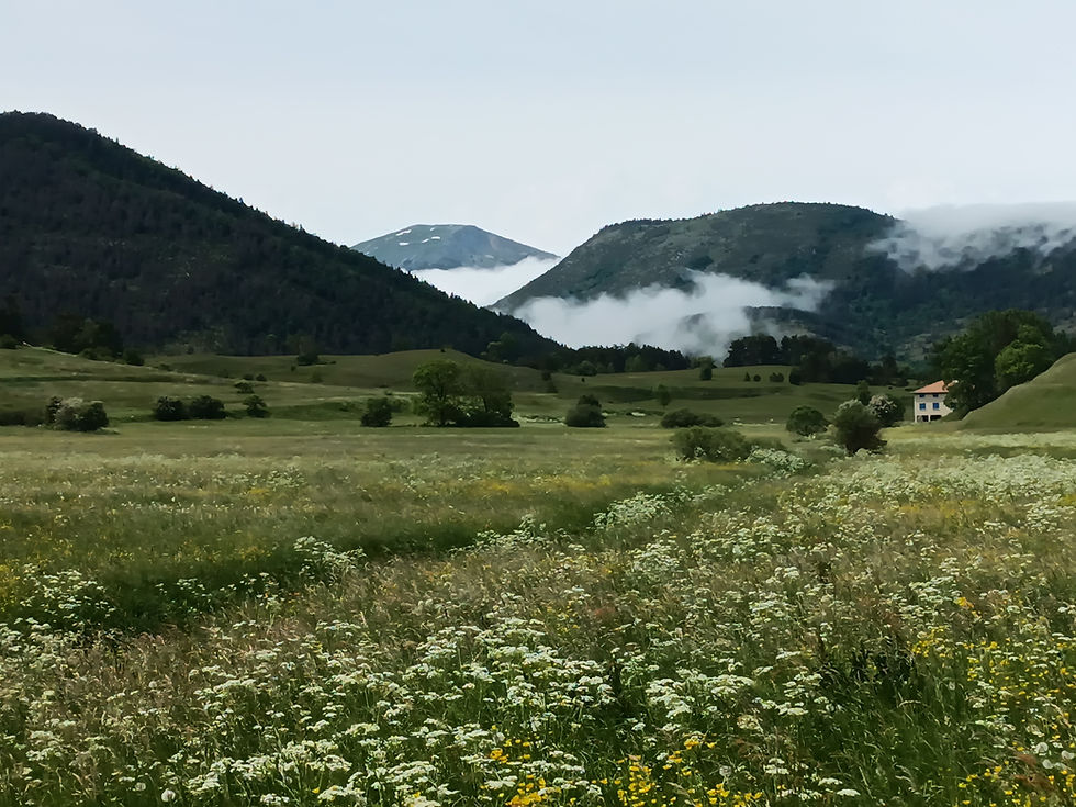 Sur le chemin vers Camurac. Les nuages sont restés bloqués vers la Frau