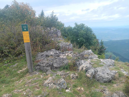 Du Jura à la Méditerranée (11):