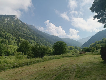 Des Vosges aux Pyrénées (31):