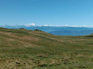 Du Jura à la Méditerranée (7):