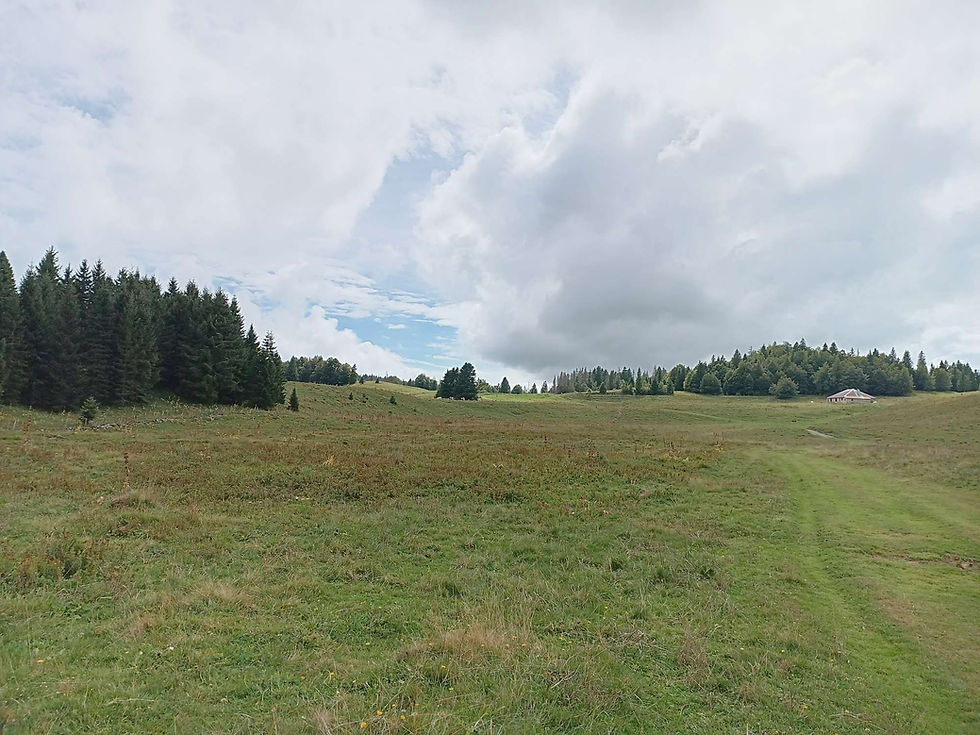 Entre soleil et pluie, sur les pâturages