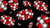 sucrose molecules.png