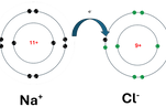Na+Cl- pair side by side.docx.png