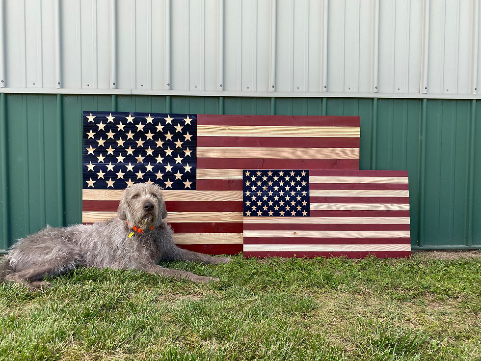 Thumbnail: American Flag