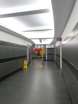 Proyectos realizados