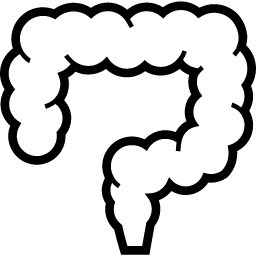 排便のメカニズム