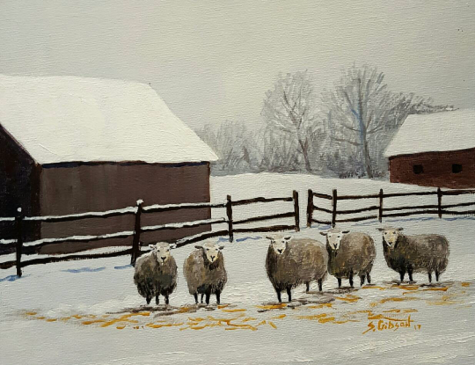 Steve Gibson