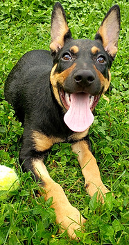 IMG_20260605_183052023_BURST010_edited.j