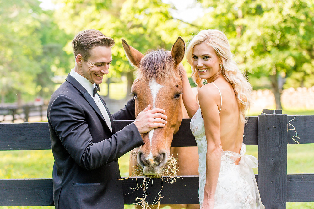 bride groom horse