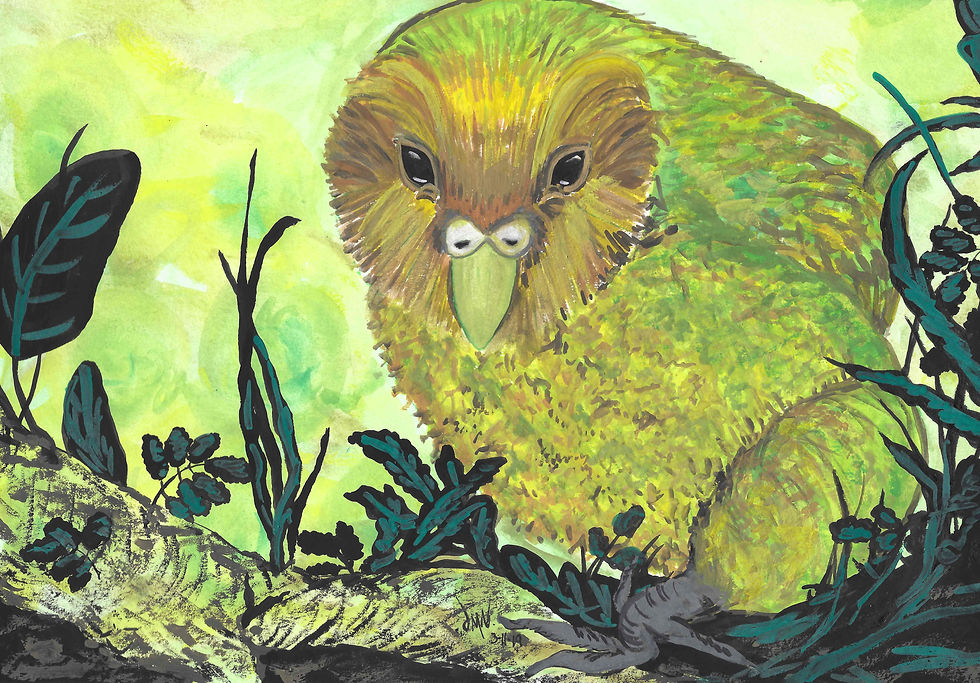 kakapo watercolor