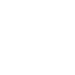 アイコンnekomata.png