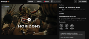 Le Carnaval de Dakar sur FranceTV