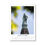 Miniaturbild: Kassel Kalender 2026 • 21x30cm • Hochformat