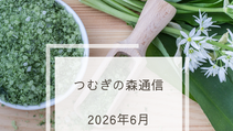 つむぎの森通信6月号