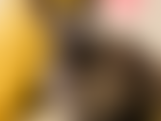 新年明けましておめでとうございます。