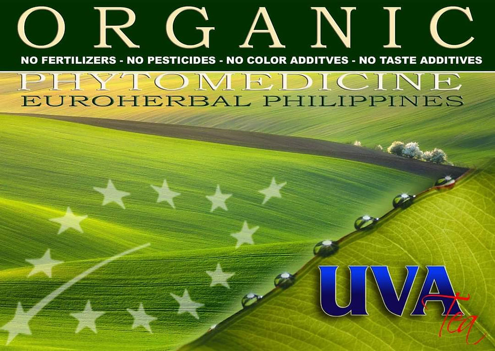 Thumbnail: Uva Tea