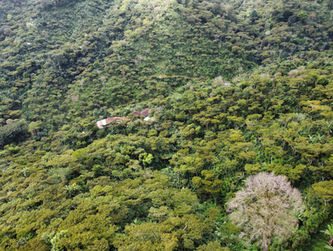RemoteMediaFile_6553709_0_2022_01_06_10_57_44.jpg