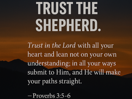 When You Can’t See the Path, Trust the Shepherd