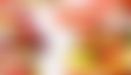 Una dulce historia. Por Ani Subero.