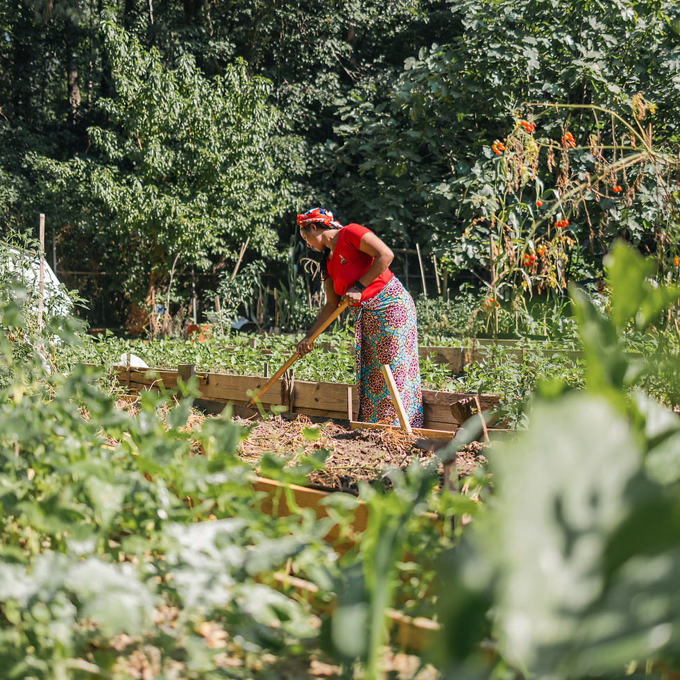 Liberty Garden Community Work Day
