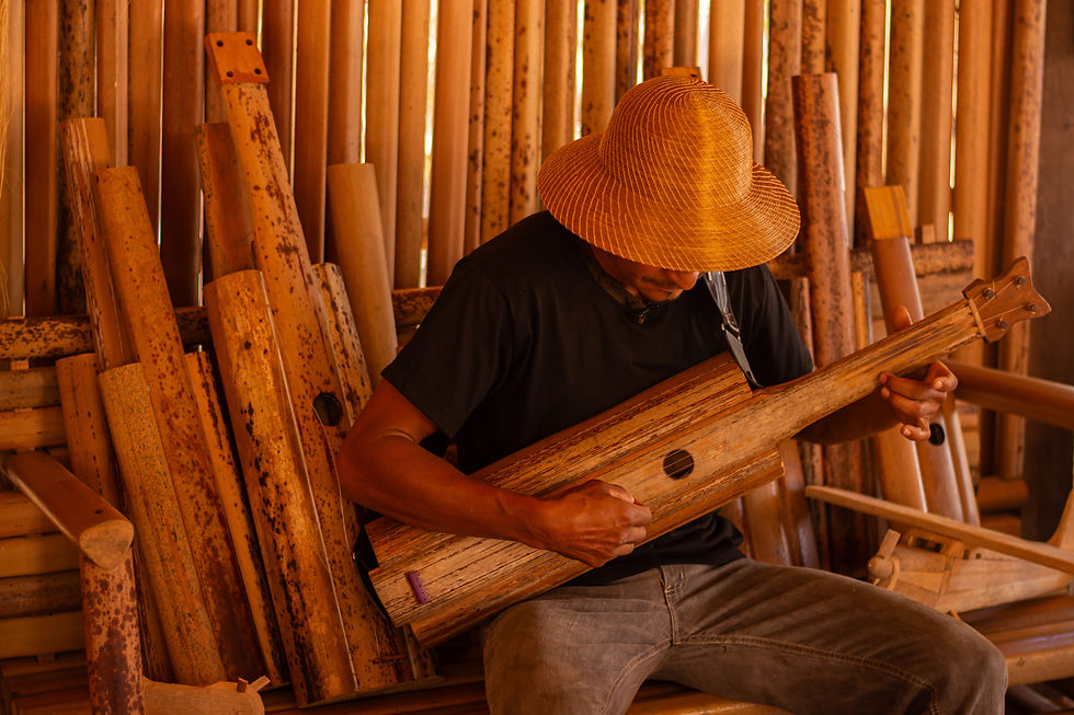 Artesão e artista de viola de buriti