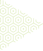 catálogo_amazonia_stock-06.png