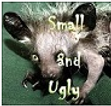 SIZE Small Ugly.png