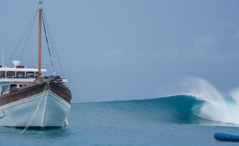 Surf Travel.jpg