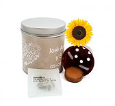 cultivo_de_girasol_en_lata_personalizada