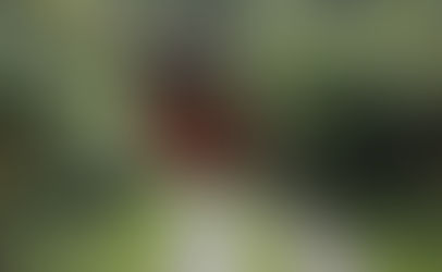 ABC da Mitologia aplicada ao sítio de Atibaia