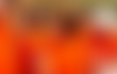 A Formiga e o Elefante - uma útil abordagem eleitoral